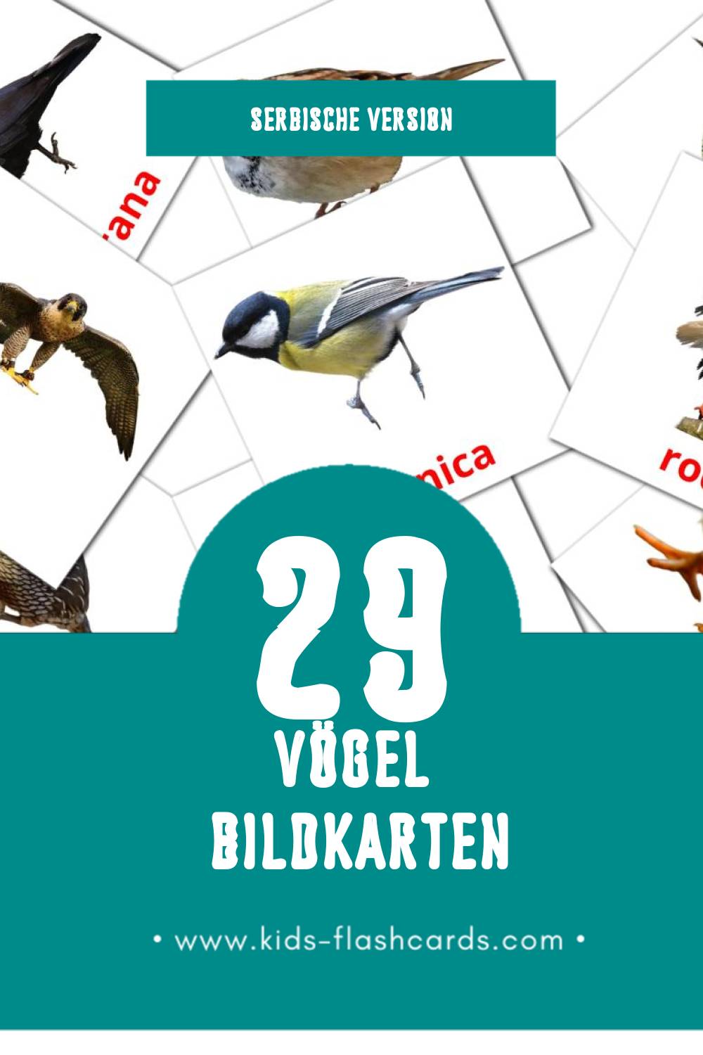 Visual Ptice Flashcards für Kleinkinder (29 Karten in Serbisch)