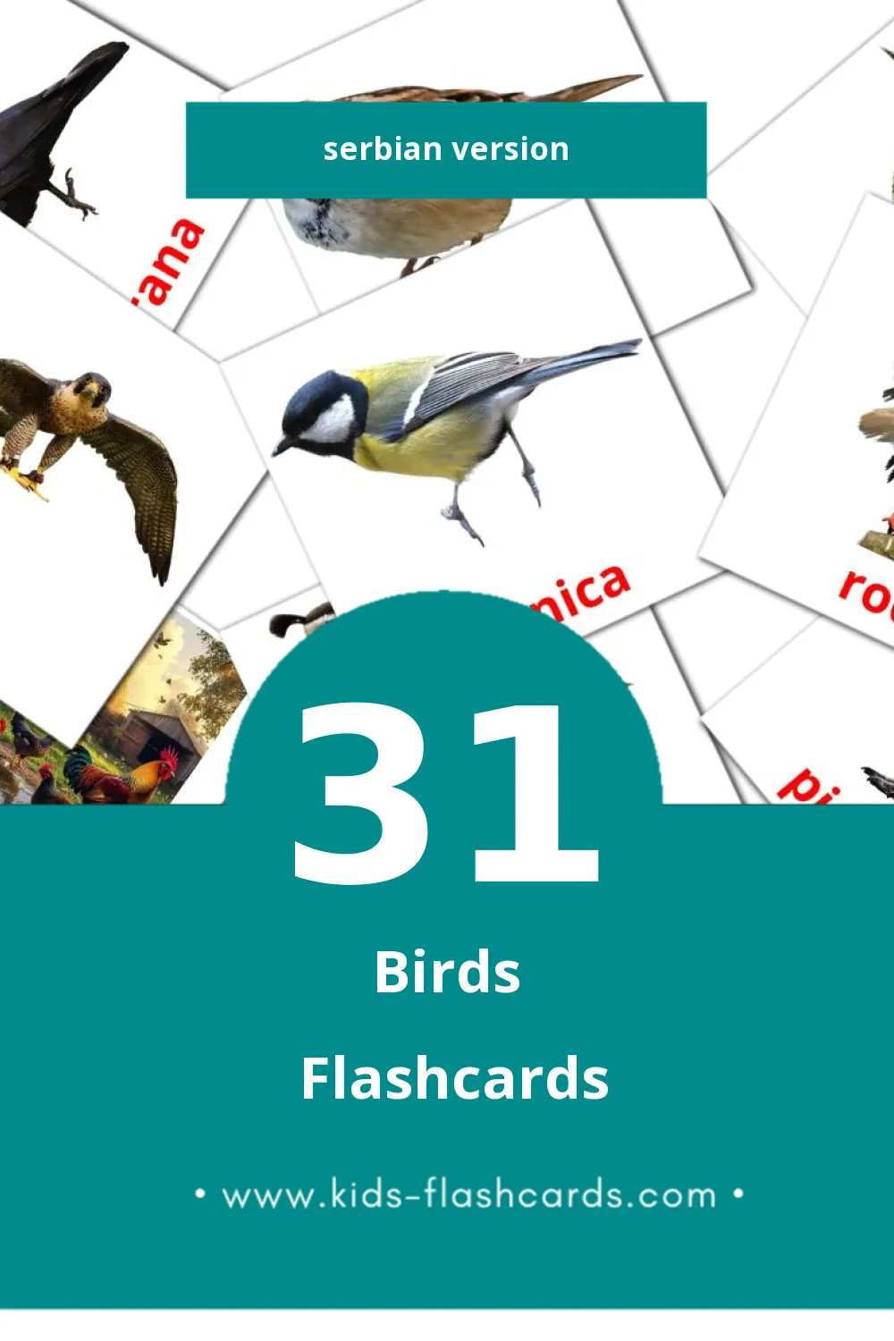 Visual Ptice Flashcards for Toddlers (31 cards in Serbian)