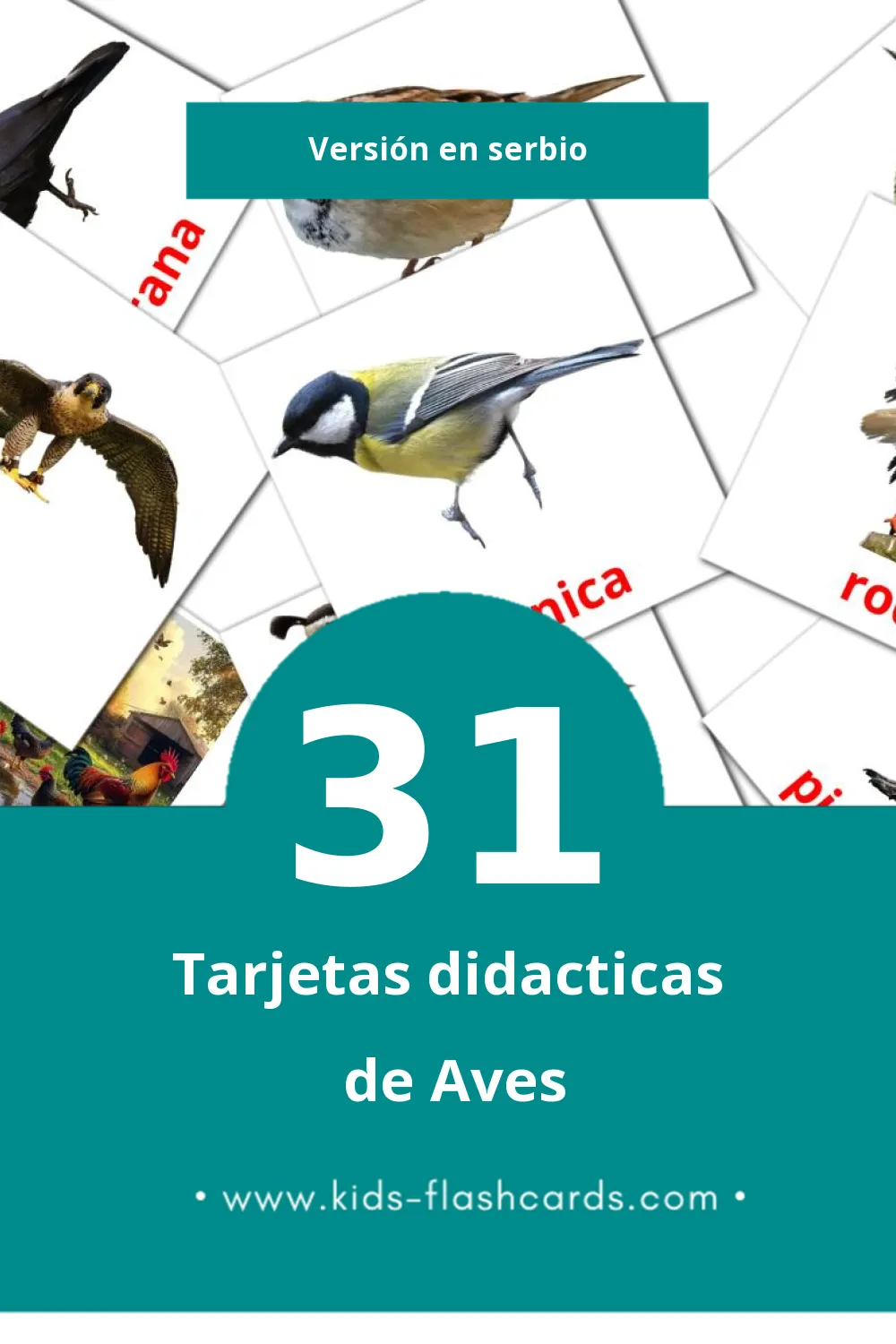 Tarjetas visuales de Ptice para niños pequeños (31 tarjetas en Serbio)