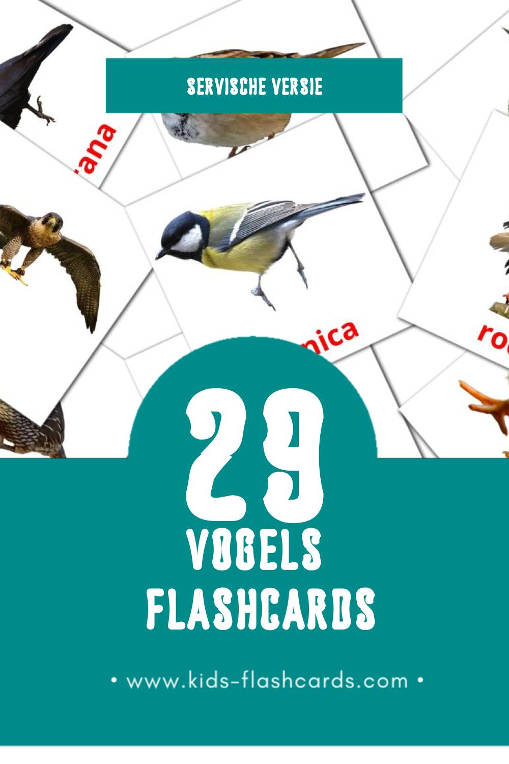 Visuele Ptice Flashcards voor Kleuters (29 kaarten in het Servisch)