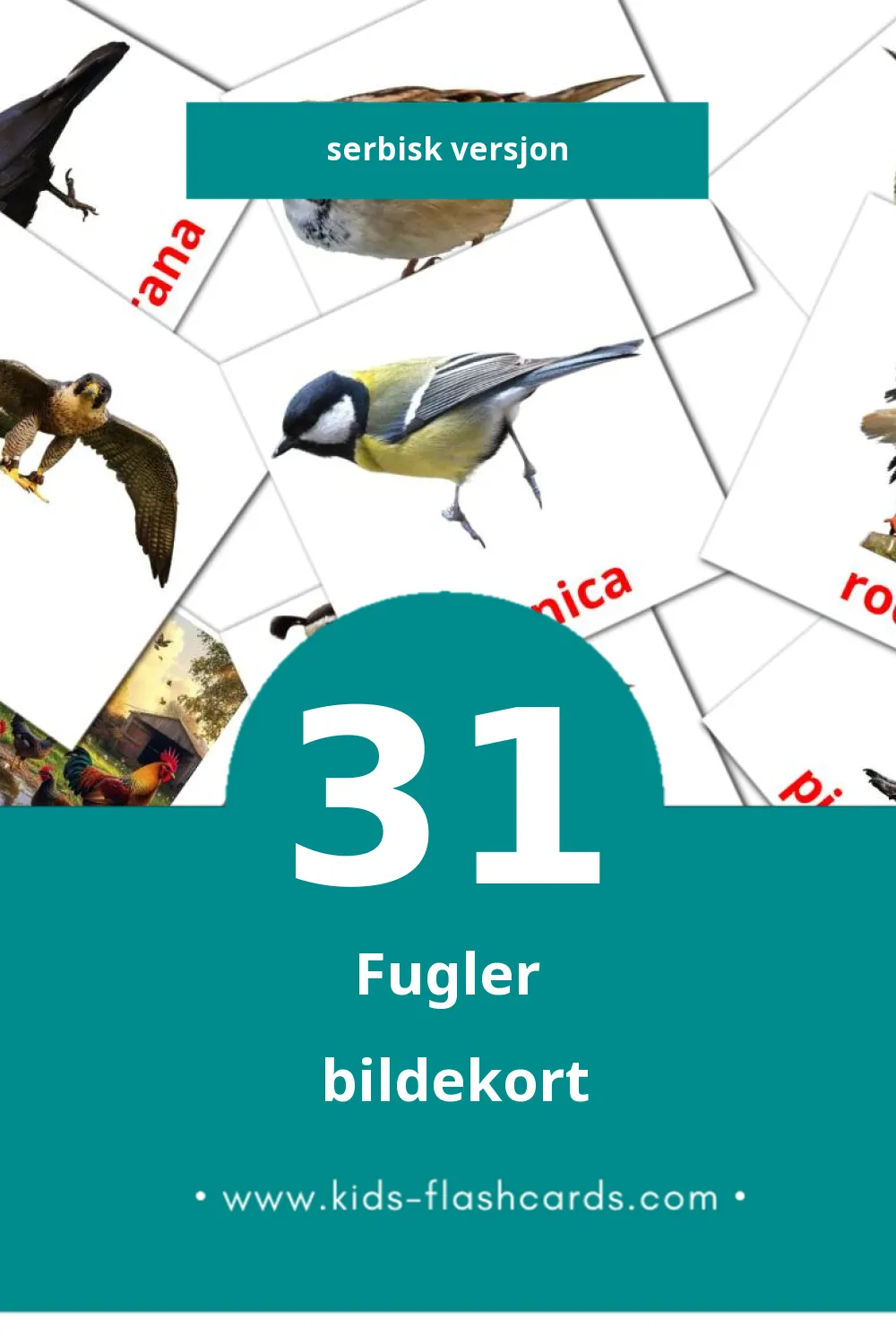 Visuelle billedkort for børn om Ptice til småbørn (31 kort på Serbisk)