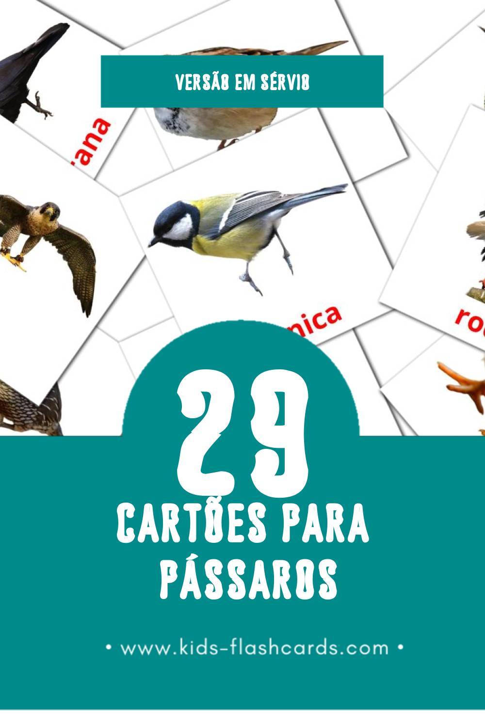 Flashcards de Ptice Visuais para Toddlers (29 cartões em Sérvio)