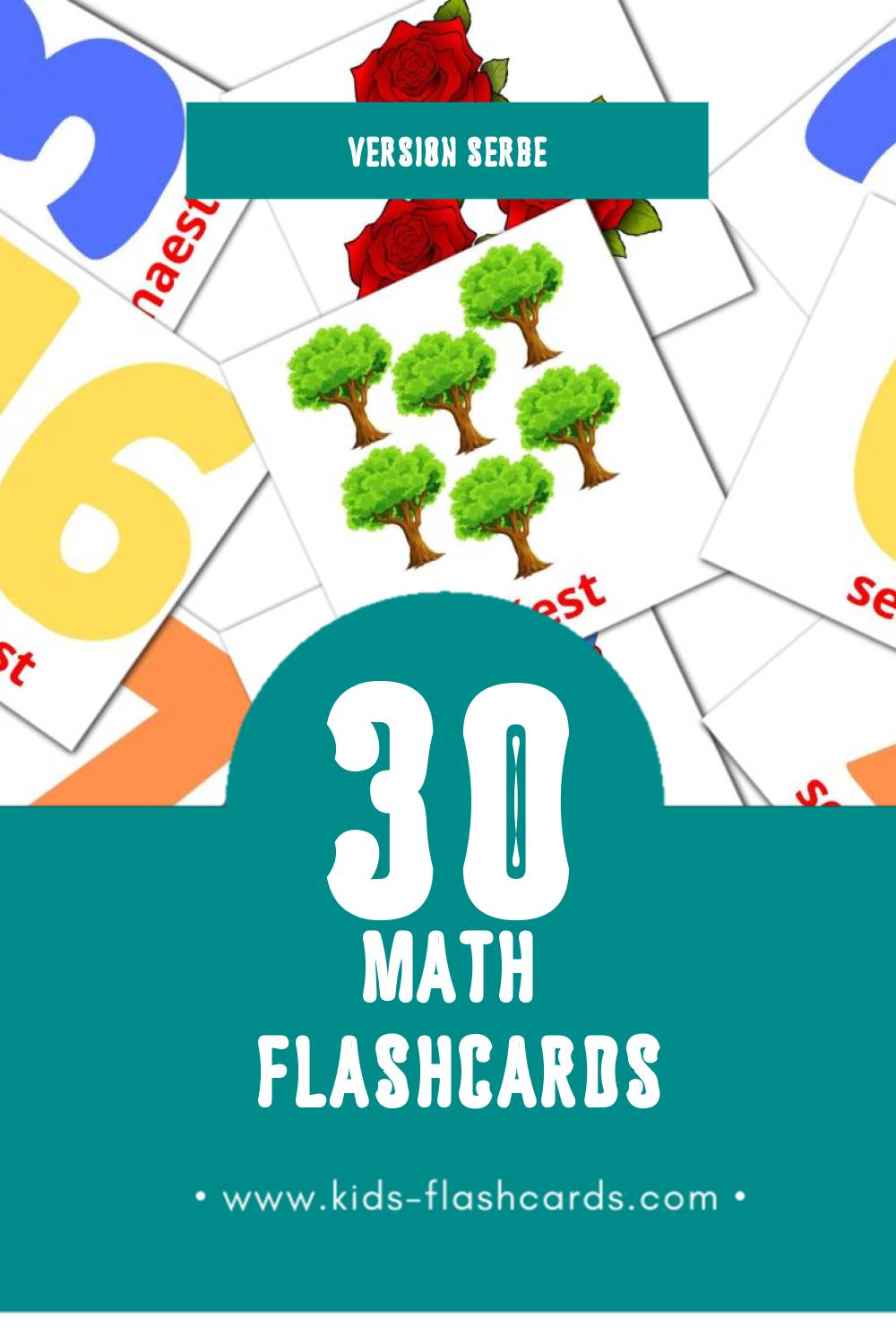 Flashcards Visual Matematika pour les tout-petits (30 cartes en Serbe)