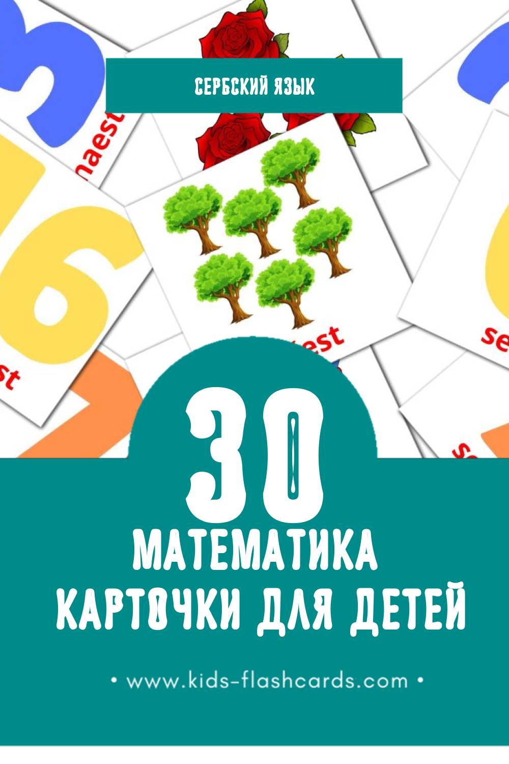 "Matematika" - Визуальный Сербском Словарь для Малышей (30 картинок)