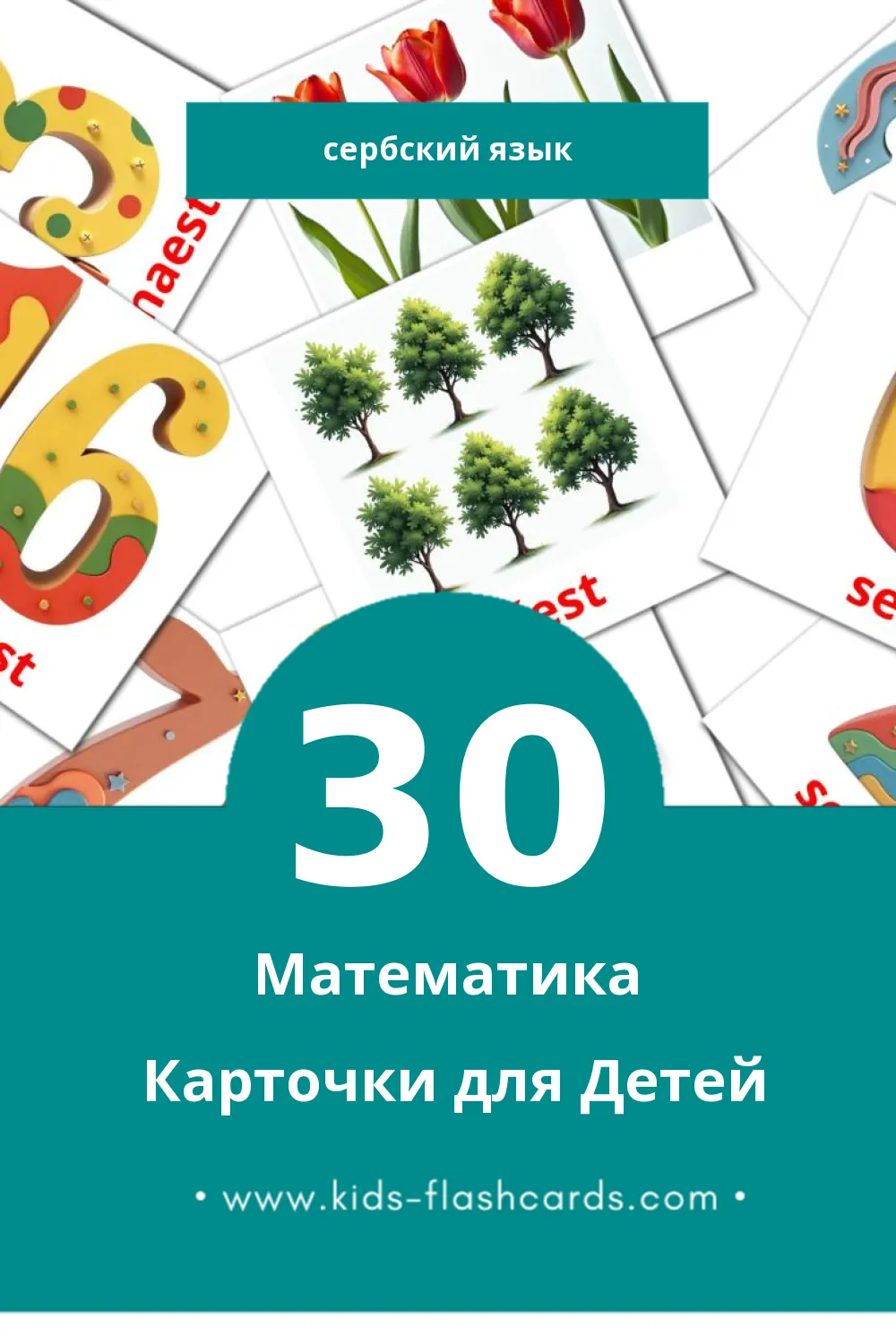 "Matematika" - Визуальный Сербском Словарь для Малышей (30 картинок)