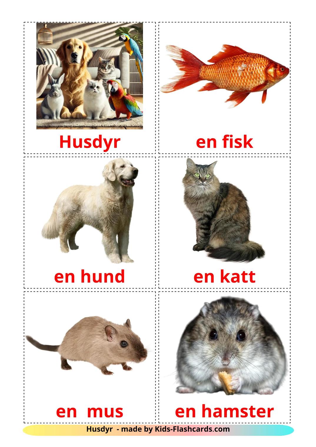 Les animaux Domestiques - 11 Flashcards suédois imprimables gratuitement