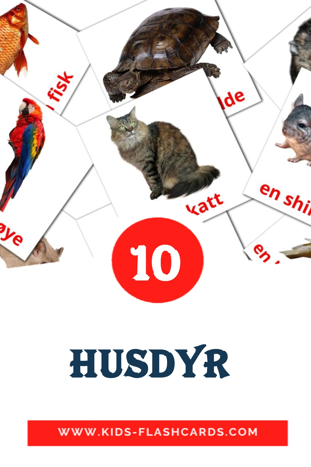 10 Husdyr  Picture Cards for Kindergarden in swedish