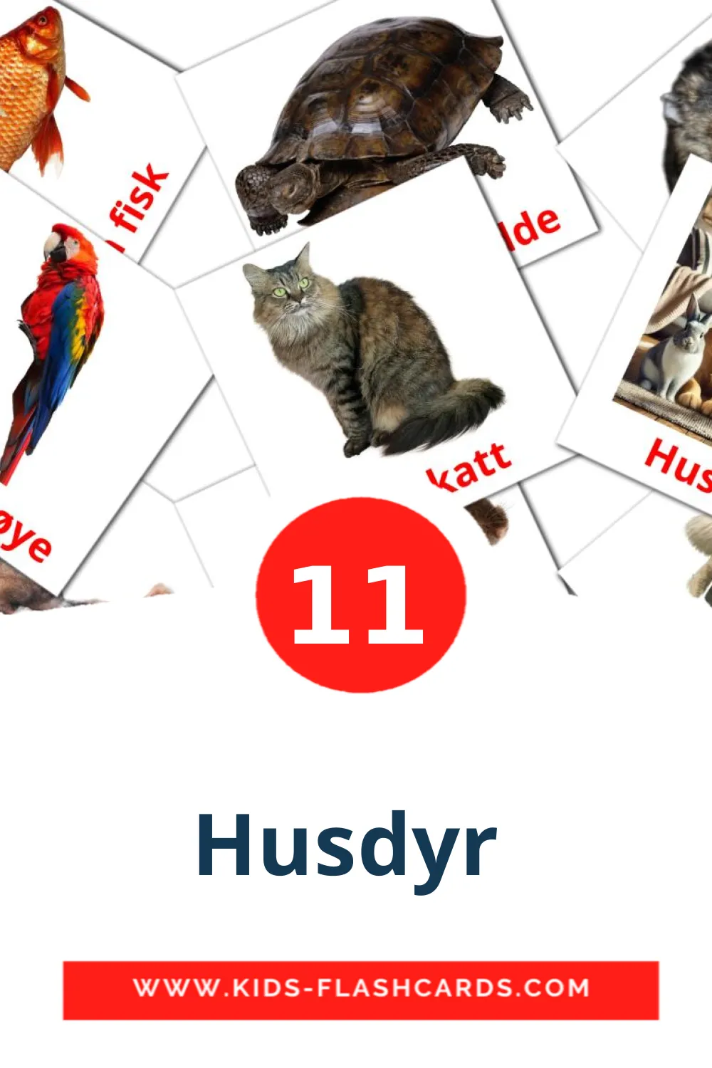 11 cartes illustrées de Husdyr  pour la maternelle en suédois