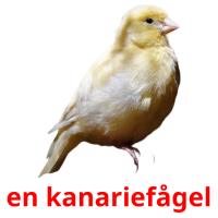 en kanariefågel card for translate