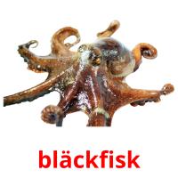 bläckfisk picture flashcards