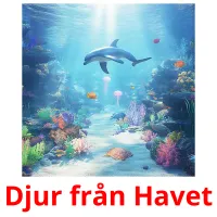 Djur från Havet flashcards illustrate