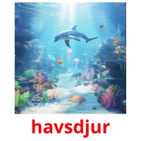 havsdjur billedkort for børn med billeder