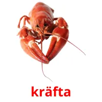 kräfta flashcards illustrate