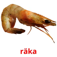 räka flashcards illustrate