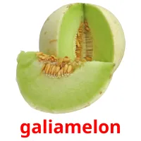 galiamelon Tarjetas didacticas