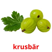 krusbär Tarjetas didacticas