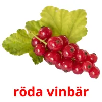 röda vinbär Tarjetas didacticas