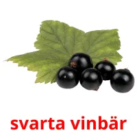 svarta vinbär Tarjetas didacticas