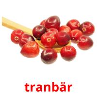 tranbär card for translate