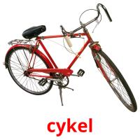 cykel flashcards illustrate