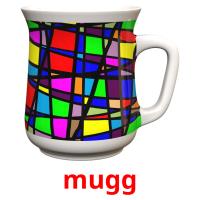 mugg picture flashcards