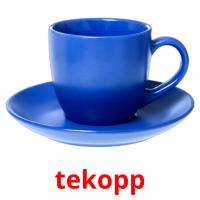 tekopp picture flashcards