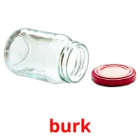 burk picture flashcards