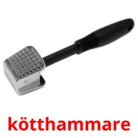 kötthammare picture flashcards