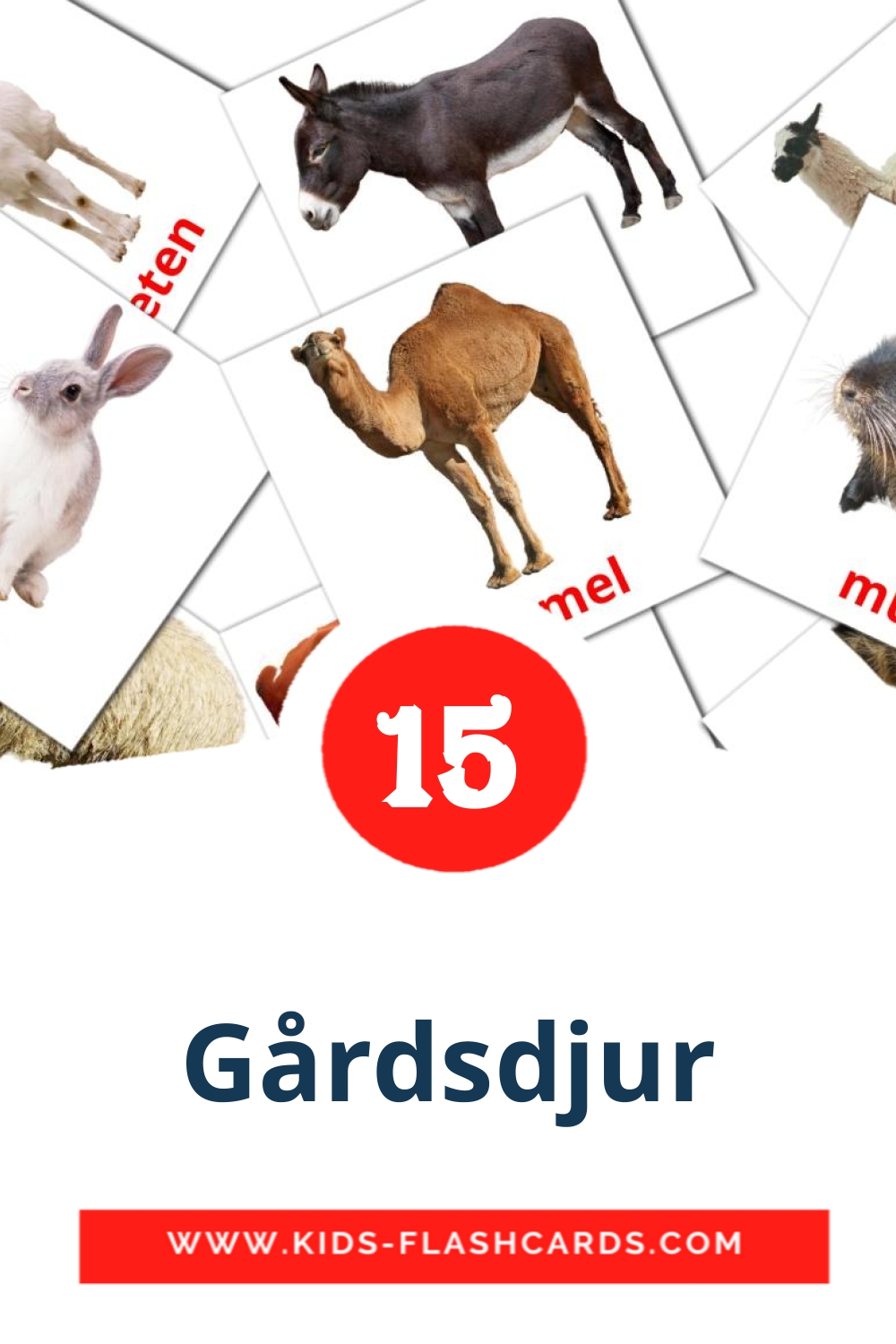 15 Gårdsdjur Picture Cards for Kindergarden in swedish