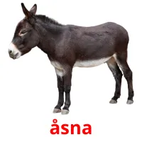 åsna ansichtkaarten