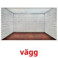 vägg picture flashcards