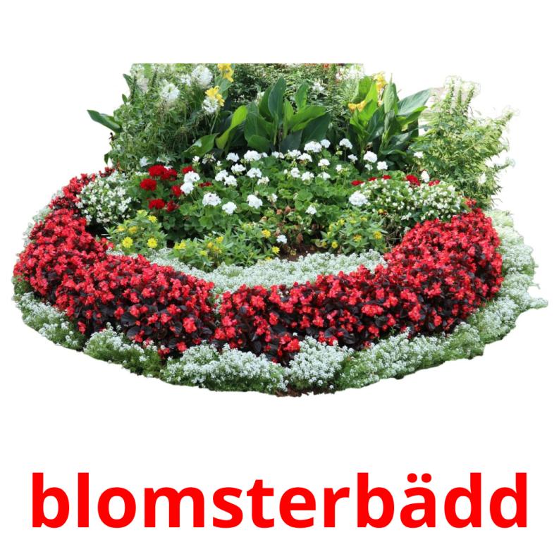 blomsterbädd picture flashcards
