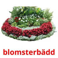 blomsterbädd cartões com imagens