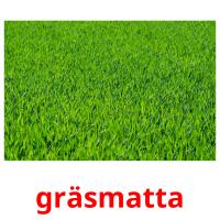 gräsmatta flashcards illustrate