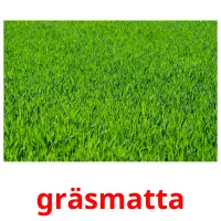 gräsmatta cartões com imagens