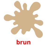 brun flashcards illustrate