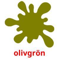 olivgrön flashcards illustrate