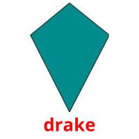 drake picture flashcards