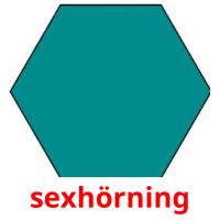 sexhörning flashcards illustrate