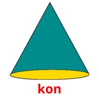 kon picture flashcards