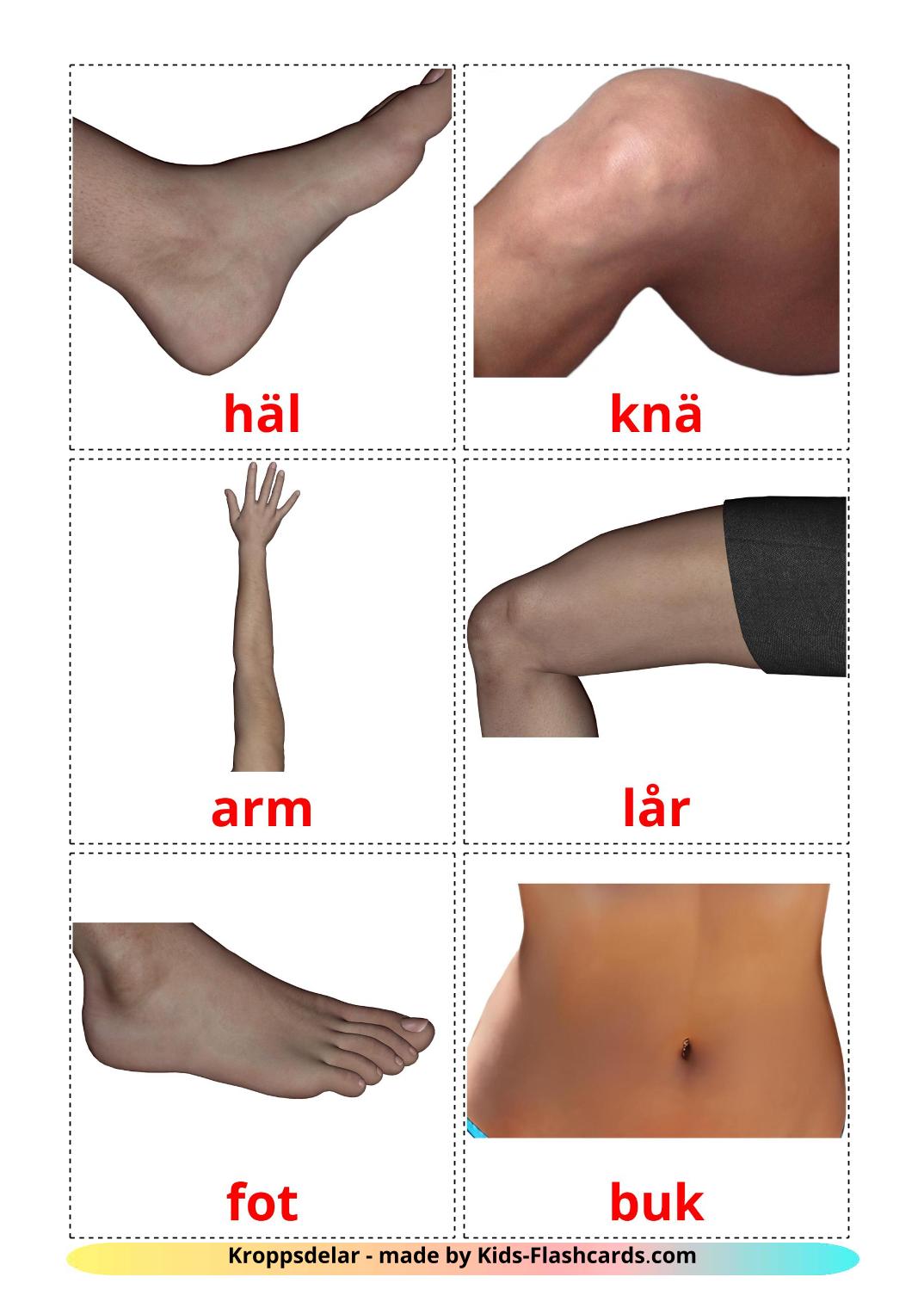 Body Parts - 26 Free Printable swedish Flashcards 