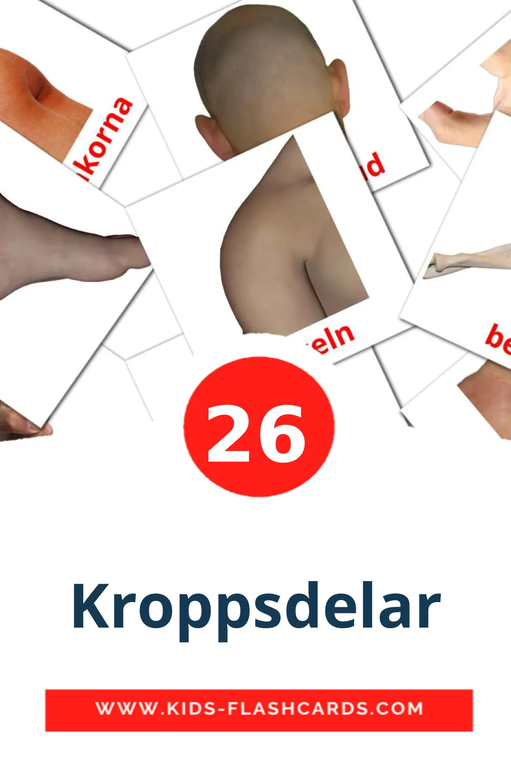 26 cartes illustrées de Kroppsdelar pour la maternelle en suédois