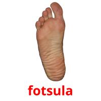 fotsula picture flashcards