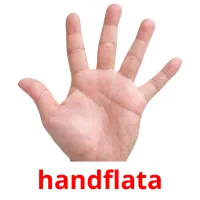 handflata cartes flash