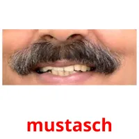 mustasch cartes flash