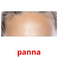 panna picture flashcards