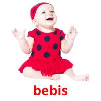 bebis picture flashcards