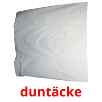 duntäcke picture flashcards