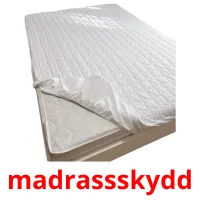 madrassskydd picture flashcards