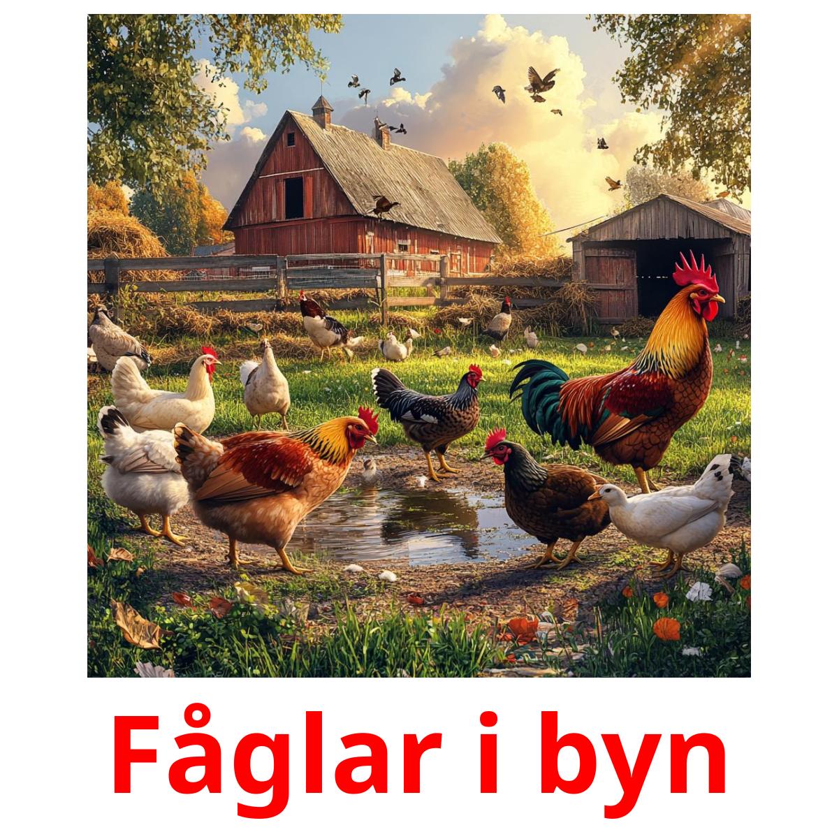 Fåglar i byn Bildkarteikarten